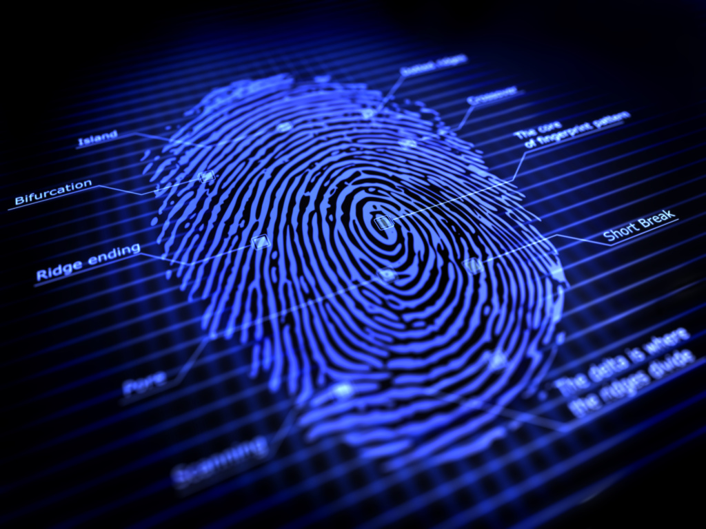 Fingerprinting united protection agency inc